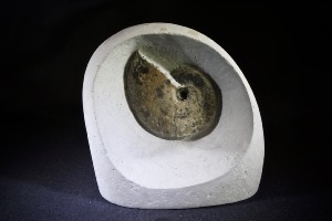 Tragophylloceras loscombi Ammonite, from Stonebarrow, Charmouth, Dorest, England (No.86)