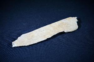 Cave Bear (Ursus Spelaeus) Bone Fragment, from Romania (REF:CB9)