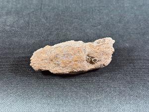 Mammoth Tusk Fragment, from the North Sea Area (MTUSK9)