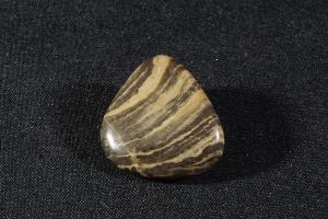 Polished Acaciella Stromatolite, from Bitter Spring Formation, Ross River, Northern Territory, Australia (REF:SS23)