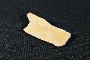 Tyrannosaurus Rex Bone Fragment, from Hell Creek Formation, Eastern Montana, USA (REF:TREX4)