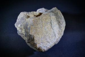Hadrosaur Bone, from Judith River Formation, Havre, Montana, U.S.A. (No.4)