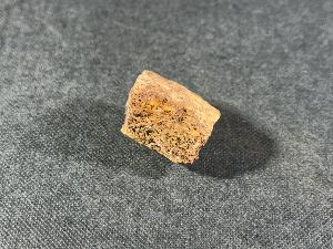 Edmontosaurus Bone, from Hells Creek, Montana, U.S.A. (REF:EDMON7)