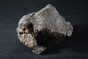 Iguanodon Bone, from Isle of Wight, Wealden Clay, U.K. (REF:IBD2)