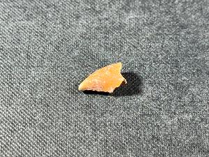 Majungasaurus Dinosaur Tooth, from Mahajanga Provence, Madagascar (REF:MAJDT3) 