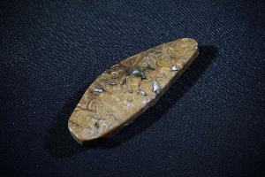 Stromatolite (REF:SS1)