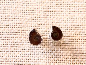 Ammonite - Cleoniceras - Half Ammonite - Sterling Silver Stud Earrings (Ref E34Stud) 