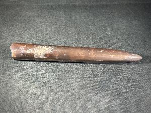 Belemnite, from Oxford Clay Formation, Northamptonshire, UK (REF:BEL2)