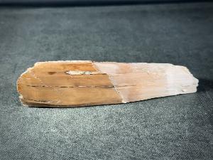 Mammoth Tusk (Material) Fragment, from Alaska, U.S.A. (REF:MTUSK13)