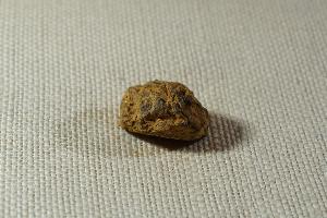 Nantan Meteorite, from China (REF:NM007)