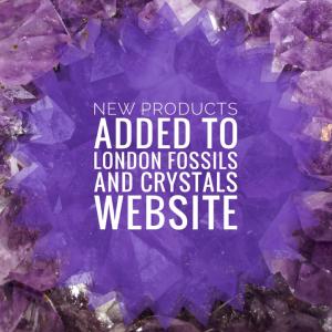 New products added to London Fossils and Crystal's web site.