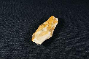 Tyrannosaurus Rex Bone Fragment, from Hell Creek Formation, Eastern Montana, USA (REF:TREX17)