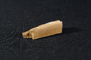 Tyrannosaurus Rex Bone Fragment, from Hell Creek Formation, Eastern Montana, USA (REF:TREX3)