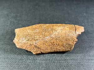 Triceratops Bone Fragment, Lance Creek Formation, Weston Co. Wyoming, USA (REF:TRIT5)