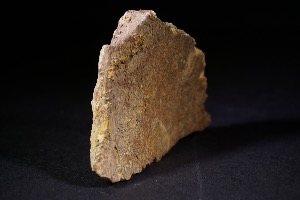 Tyrannosaurs Rex Bone Fragment, from Hell Creek Formation, Eastern Montana, USA (No.90)