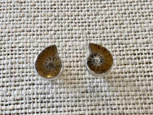 Ammonite - Cleoniceras - Half Ammonite - Sterling Silver Stud Earrings (Ref E33Stud)