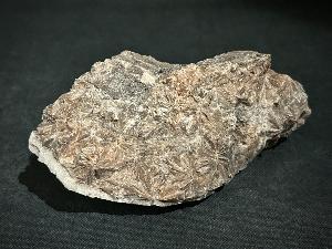 Daisy Bed Gypsum, from Birks Head Mine, Vale of Eden, South Eastern Region, Cumbria, UK (REF:DBGYP1)
