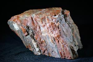 Fossil Wood (Petrified Wood), from Arizona USA (REF:FWAU6)