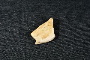 Tyrannosaurus Rex Bone Fragment, from Hell Creek Formation, Eastern Montana, USA (REF:TREX19)