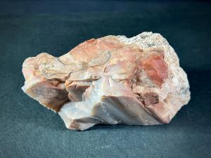 Araucarioxylon Petrified Wood, from Arizona, U.S.A. (REF:ARXY3)