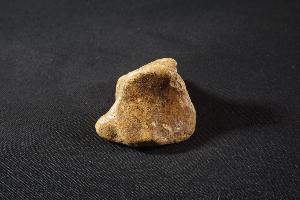 Cave Bear Bone Fragment, from Hateg Mountains, Romania (REF:CB15)