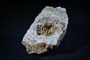 Dinosaur Coprolite, from U.S.A. (REF:DC2)