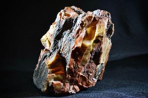 Fossil Wood (Petrified Wood), from Arizona USA (REF:FWAU1)