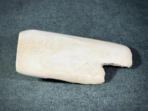 Mammoth Tusk (Material) Fragment, from Alaska, U.S.A. (REF:MTUSK12)
