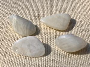 Moonstone - White - 5g to 10g Tumbled Stone (Selected)