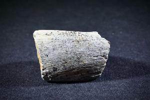 Pachycephalosaurus Bone, from Lance Creek Formation, Eastern Wyoming, U.S.A. (REF:PB1)
