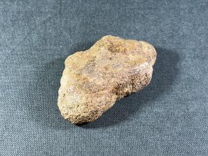 Triceratops Bone Fragment, Lance Creek Formation, Weston Co. Wyoming, USA (REF:TRIT12)