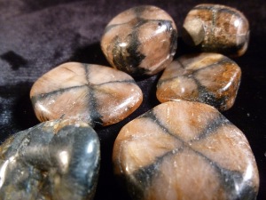 Chiastolite - Tumbled Stone