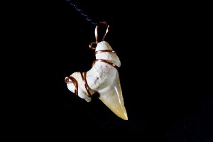 Lamna Shark Tooth Hand Wired Pendant (No.843)