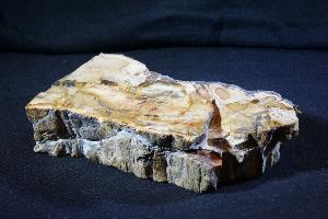 Fossil Wood, from Madagascar (No.900) 