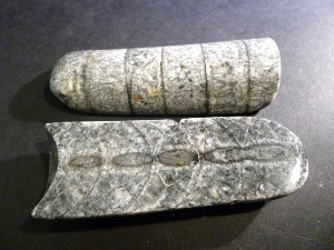 Orthocone Pair, from Morocco (No.7)