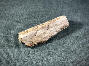 Tyrannosaurus Rex (T.Rex) Bone Fragment, from Hell Creek Formation, Eastern Montana, USA (REF:TREX55)