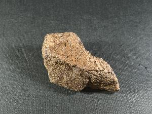 Triceratops Bone Fragment, Lance Creek Formation, Weston Co. Wyoming, USA (REF:TRIT8)