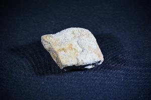 Triceratops Bone Fragment, from Hell Creek Formation, South Dakota, USA (No.3)