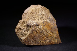 Tyrannosaurs Rex Bone Fragment, from Hell Creek Formation, Eastern Montana, USA (No.91)