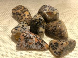 Agate - Cheetah - 6.5g to 11.5g Tumbled Stone (Selected)
