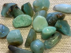 Chrysoprase - 1 to 2cm Light Tumbled Stone