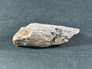 Mammoth Tusk Fragment, from the North Sea Area (MTUSK8)