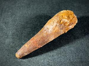 Spinosaurus Dinosaur Tooth, from Morocco (REF:SPINODT2)