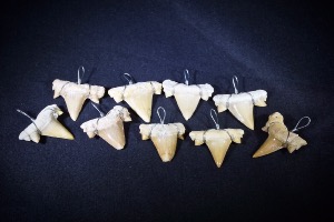 Lamna Shark Tooth Pendant (No.6)