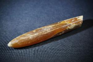 Agatised Polished Belemnite, from Sweden (No.131)