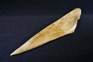 Mammoth Tusk Fragment (No.212)