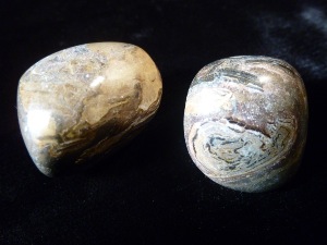 Stromatolite Tumbled Stone