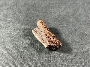 Tyrannosaurus Rex (T.Rex) Bone Fragment, from Hell Creek Formation, Eastern Montana, USA (REF:TREX74)