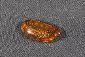 Amber Baltic (REF:AMB11)