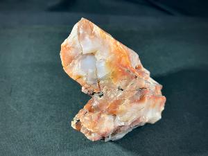 Araucarioxylon Petrified Wood, from Arizona, U.S.A. (REF:ARXY1)